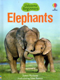 Image of Elephants