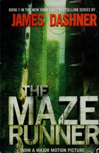 Image of The Maze Runner