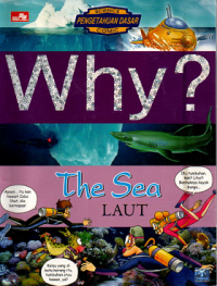 Image of Why? Laut