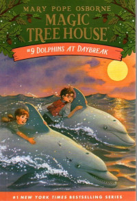 Image of Dolphins at Daybreak