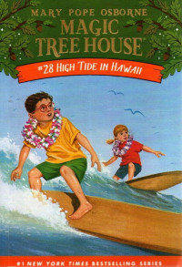 Image of High Tide in Hawaii