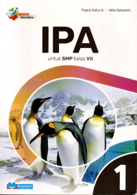 Image of IPA VII