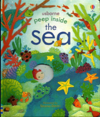 Image of peep inside the Sea